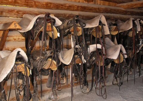 MASADDLEBRIDLE